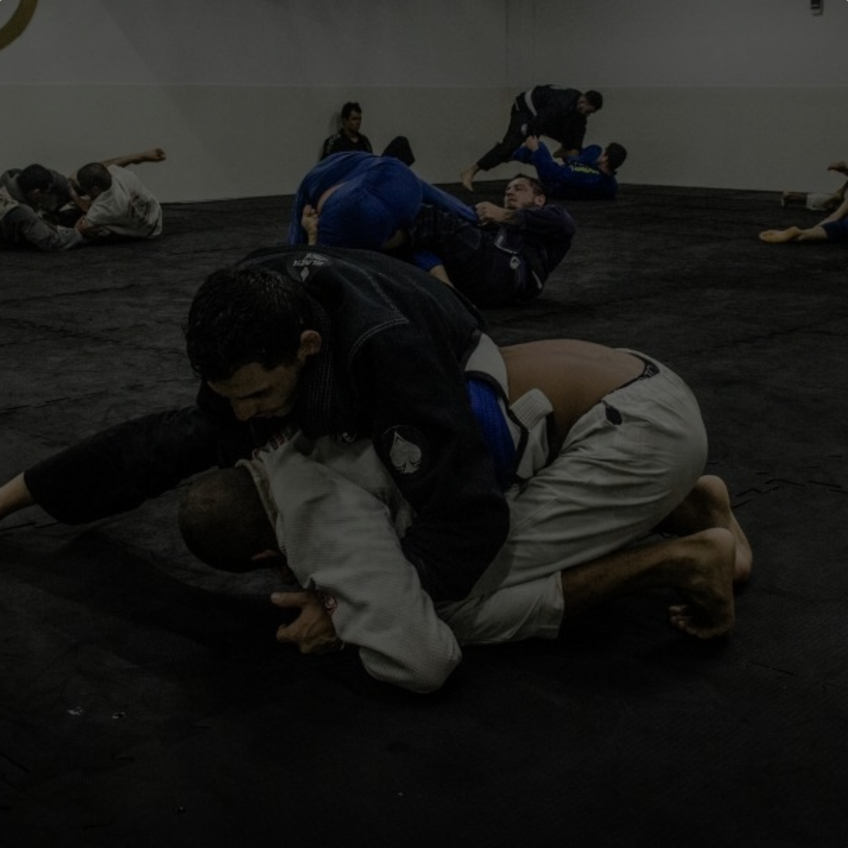 jiu jitsu iniciante paraiso